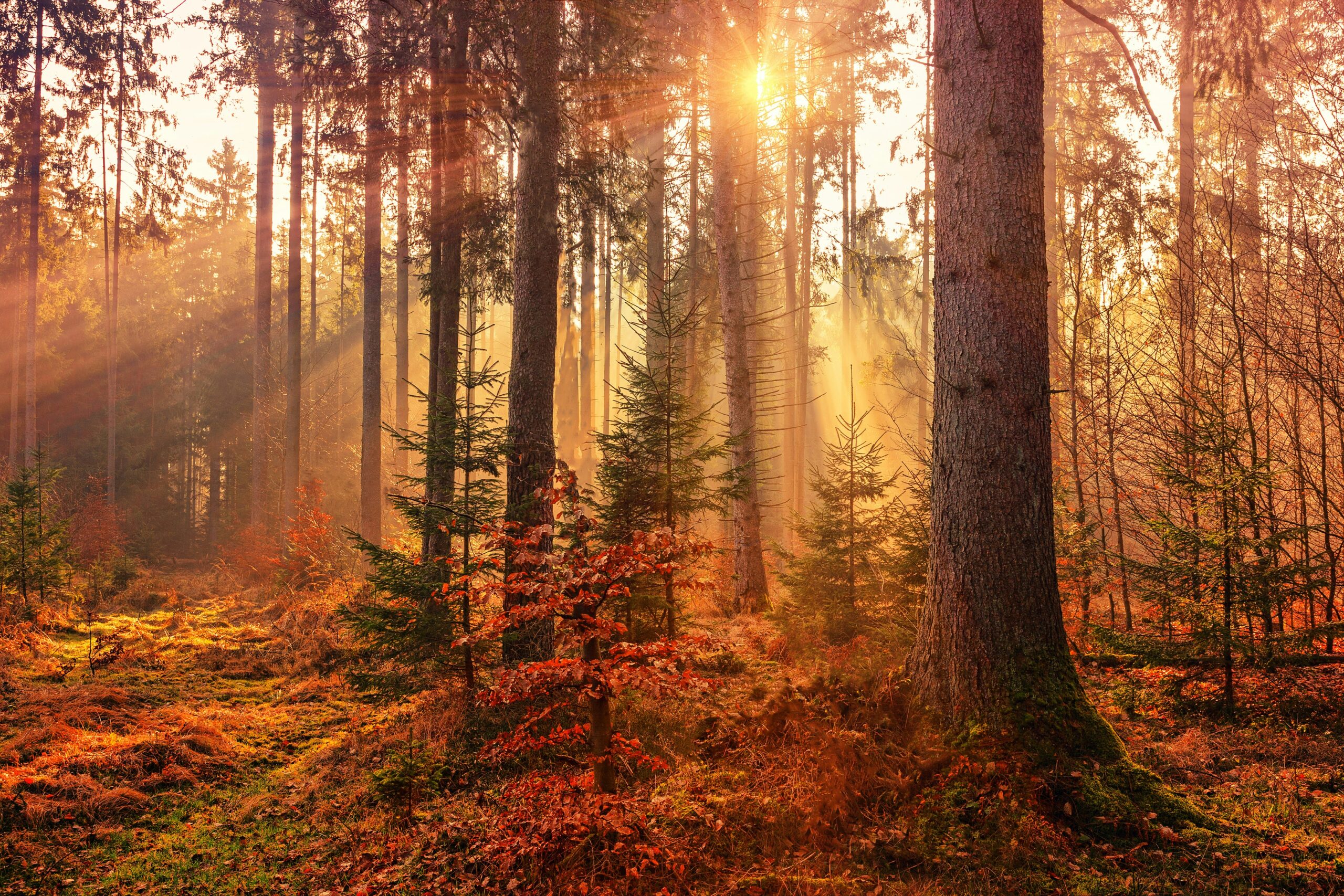 Spiritual Principles